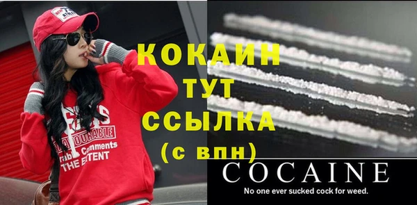 прущий лед Абаза